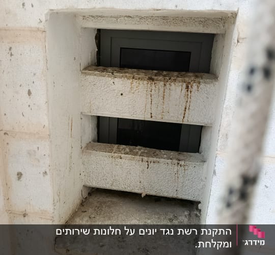 פתח אוורור עם לכלוך וכתמים, קשור להרחקת יונים